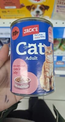 Cat adult