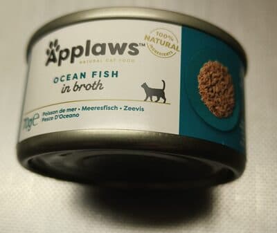Ocean Fish in broth