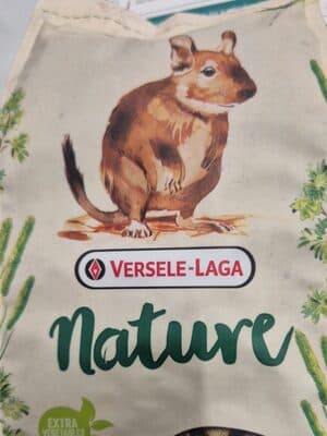Degu
