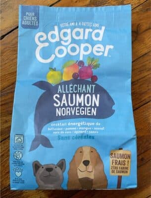 Alléchat Saumon Norvégien
