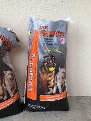 Croquette pour chien