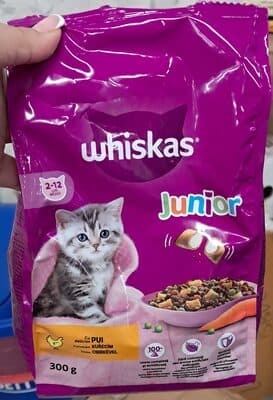 Junior cu pui