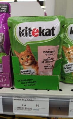 KiteKat