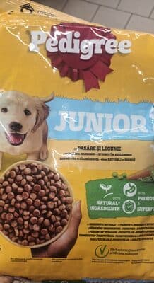 Pedigree junior