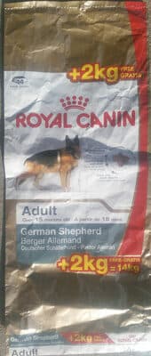 Adulte Berger Allemand