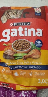 Gatina