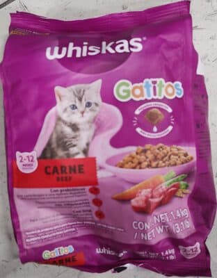 Gatitos carne