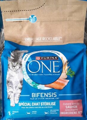 CHAT STERILISE SAUMON