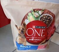 One mini adult