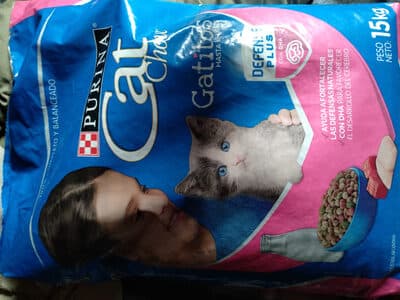Cat chow gatitos