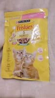 friskeis