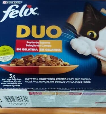 Félix duo