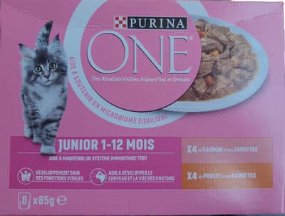 junior
