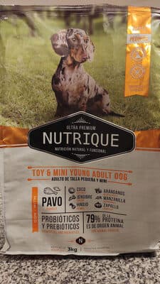 Toy & mini young adult dog