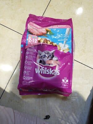 Cat food whiskas junior ocean fish 1,1kg