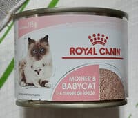 Mother & Babycat