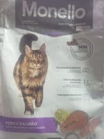monello gato castrado