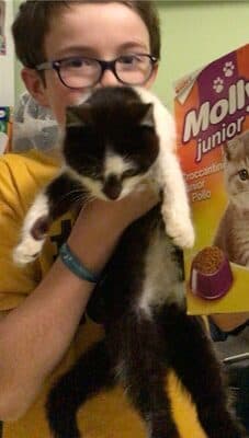 Molly junior