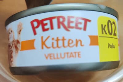 petreet kitten vellutate