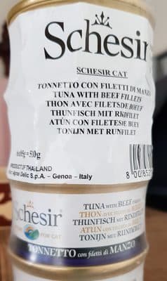 Schesir