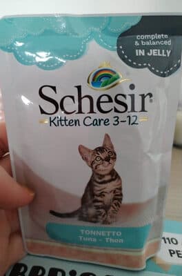 Kitten Care 3-12 Tonnetto in Jelly