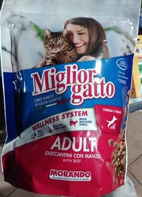 Miglior gatto croccantini manzo