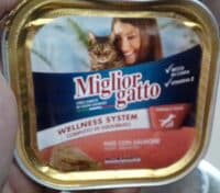 Miglior gatto