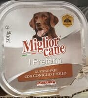 Miglior cane