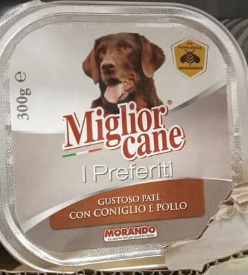 Miglior cane