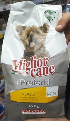 Miglior Cane I Preferiti