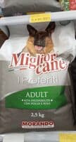Miglior cane I Preferiti Adult