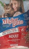 Miglior Gatto