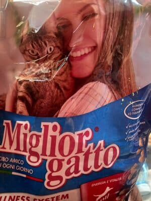 Miglior gatto
