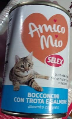 Amico Mio gatto trota salmone