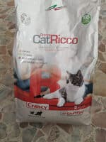 Crancy CatRicco