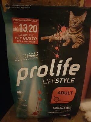 Prolife adult salmone e riso