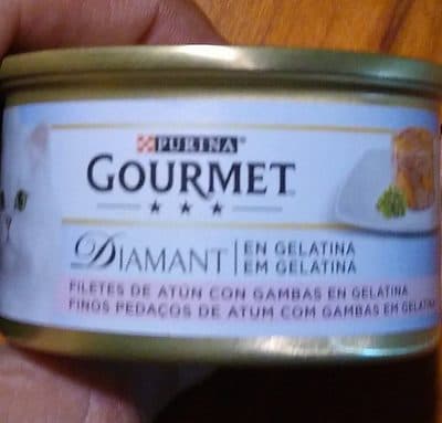 Filetes de atún con gambas en gelatina