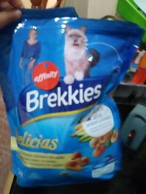 Brekkies delicias