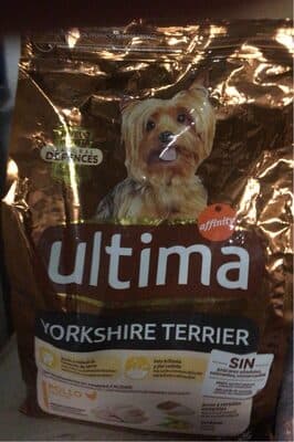 Ultima yorkshire terrier