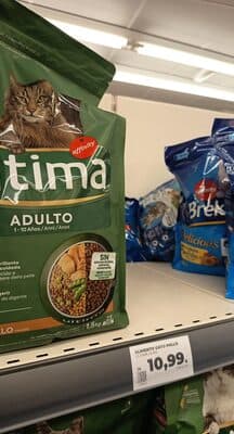 gato pollo última
