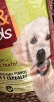 Alimento completo para perros
