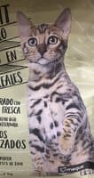 Alimento para gatos esterilizados
