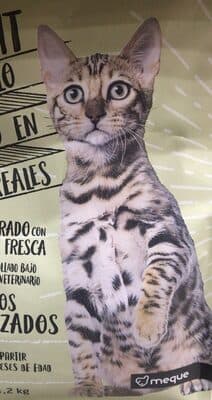 Alimento para gatos esterilizados