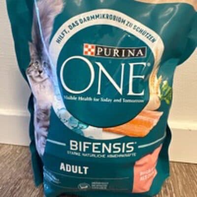 Trockenfutter Katze mit Lachs