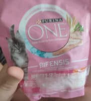 Purina One Junior 1-12 meses
