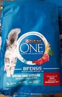 CHAT STERILISE BŒUF