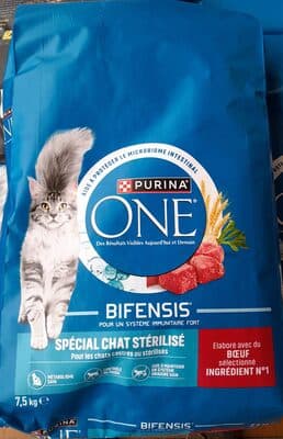 CHAT STERILISE BŒUF