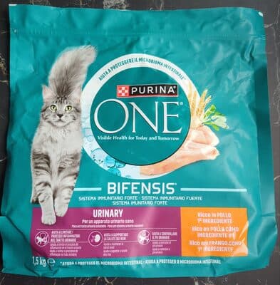 One Bifensis Urinary