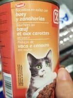 Gato