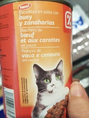 Gato
